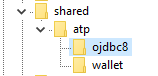 'Shared' directory